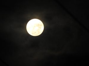 秋の満ちたお月様(中秋の名月)