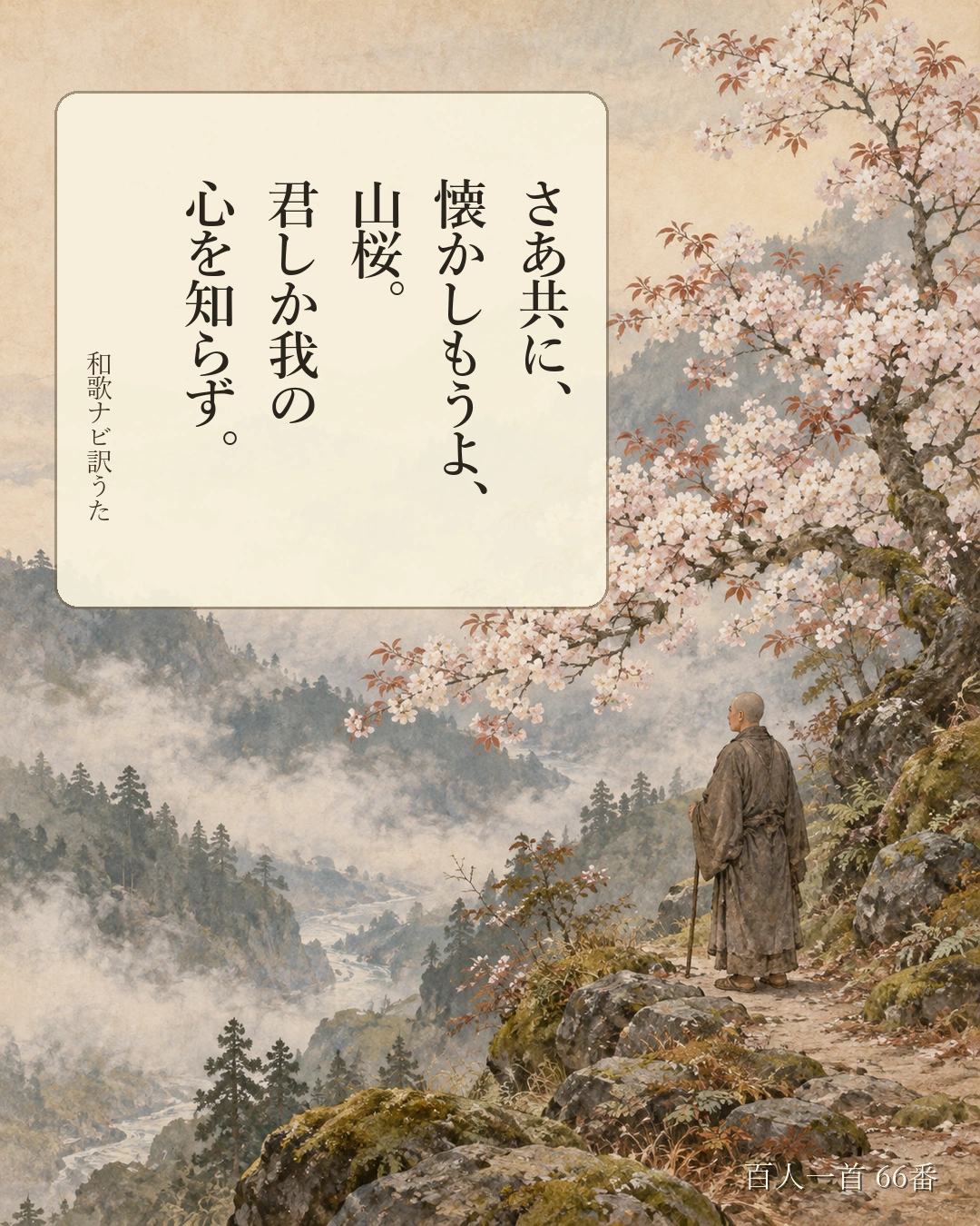 百人一首66番 訳うた:さあ共に、/懐かしもうよ、/山桜。/君しか我の/心を知らず。